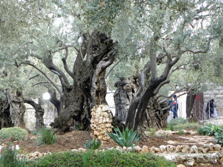 7 Best Christian Travel Tours for Singles in 2025