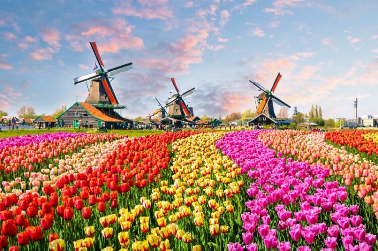 16 Most Famous Historical Landmarks in the Netherlands