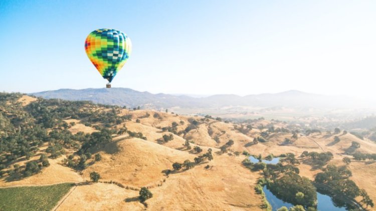 12 Best California Bus Tours