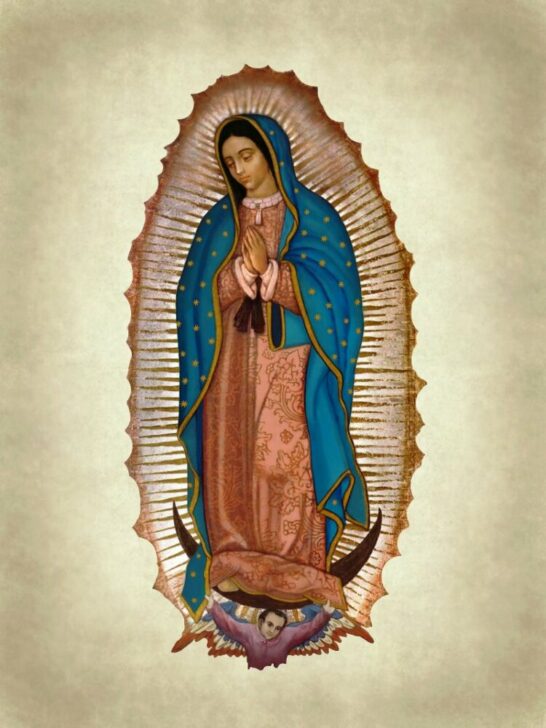 Our Lady of Guadalupe Pilgrimage Tour