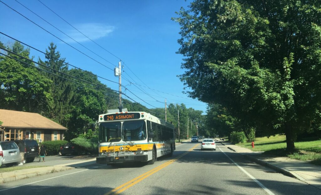 240 bus on the side of the road