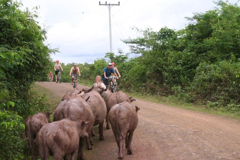 Bikers at Luang Prabang