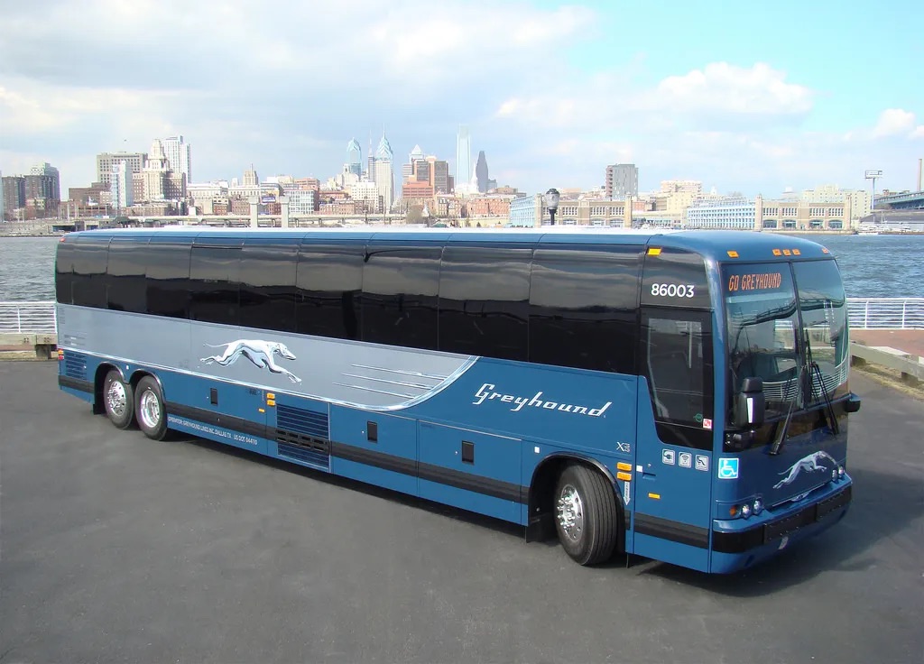 Greyhound