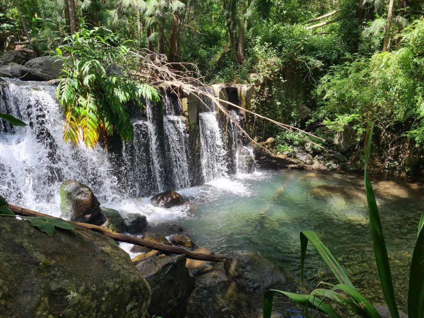 Waterfalls in reunion