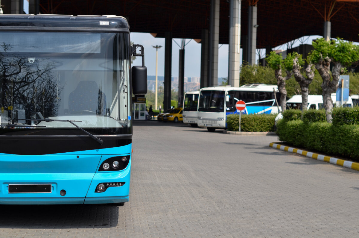 109 Bus Schedule: Timings, Routes, and Stops for Public Transportation