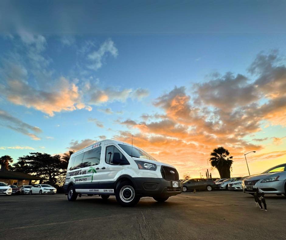 White rental van in a sunset parking lot with palm trees and vibrant sky colors.